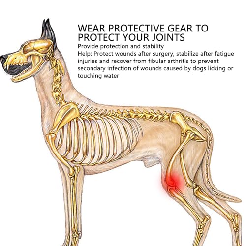 Zerodis Hunde-Kniebandage für Gerissenes ACL-Hinterbein, Kreuzbandverletzungen, Patellaluxation oder Arthrose, Hunde-ACL-Kniebandage, Hundebandage für das Hinterbein Zur Unterstützung (M)