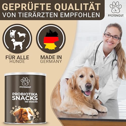 PFOTENGUT® Verdauungssnacks für Hunde [Made IN Germany] - 150 Snacks zur Förderung der Darmflora & Verdauung - Leckerlis zur Stärkung des Immunsystems - Probiotika Hund - Darmflora Aufbau Hund