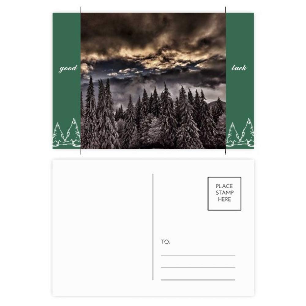 DIYthinker White Pine Sky Dark Sky Good Luck Postcard Set Card Mailing Side 20Pcs 5.7 inch x 3.8 inch MultiColor