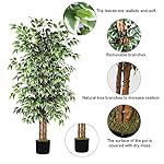 GTIDEA 6ft Artificial Tree Ficus, Tall Faux Trees Indoor with Natural Trunk and Fake Silk Tree Fake Plants for Home Spring Decor Living Room Outdoor Balcony House Office (Included Dried Moss) - Image 3