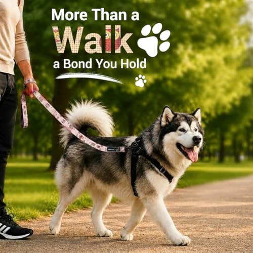 Image of Bowlers Dog Leash for Small, Medium & Large Dogs | Owl & Beige Design | Durable Nylon Pet Walking Lead | Strong Metal Hook | Comfortable Grip for Daily Walks & Training