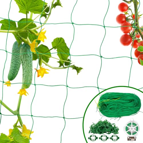 1 8m x 3 6 m Ranknetz für Kletterpflanzen ranknetz für gurken mit 50 Pflanzenclips & 20m Bindegarn Tomaten und Gurken Rankhilfe für Bohnen Erbsen Erbsennetz Gemüse Blumen Innen Außenbereich
