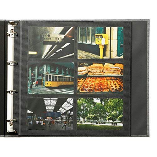 Amazon.co.jp: デルフォニックス PDフォトアルバムリングL ターコイズ