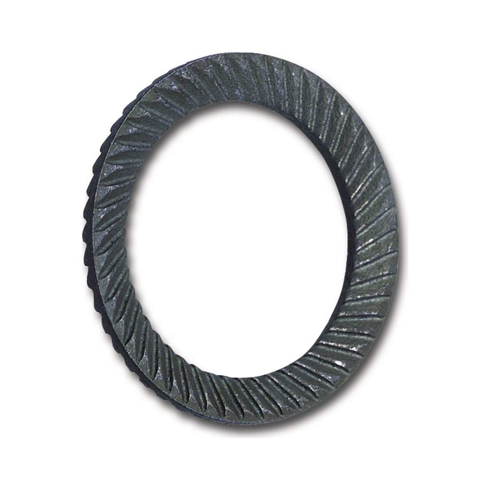 SCHNORR 881200040120000 - Rondella di sicurezza S M12, in acciaio armonico non trattato, colore: Argento