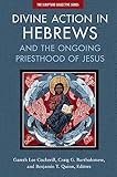 Divine Action in Hebrews: And the Ongoing Priesthood of Jesus (The Scripture Collective Series)