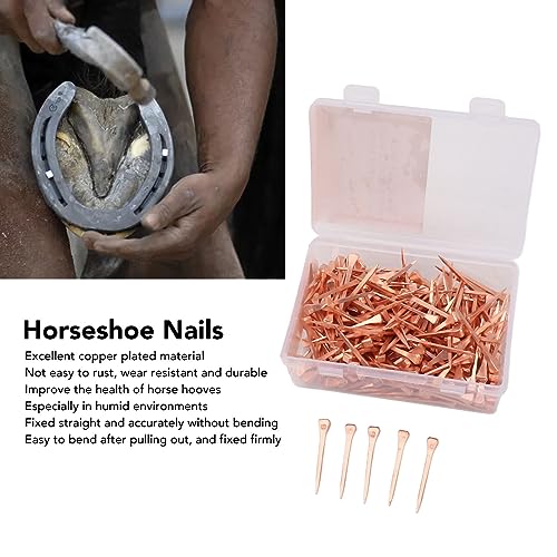 QANYEGN 250Pcs Horseshoe Nails Copper Plated, Horseshoe Nail, Riding Horseshoe Tools for Horse Training Equestrian Sports (45mm E3)