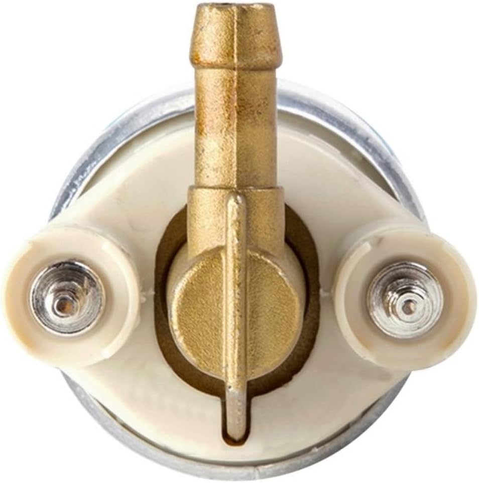 For Mercedes-Benz CL500/E430 1998 99 00 01 2002 Electric Fuel Pump | 2 Pins | 5.0L/4.3L V8