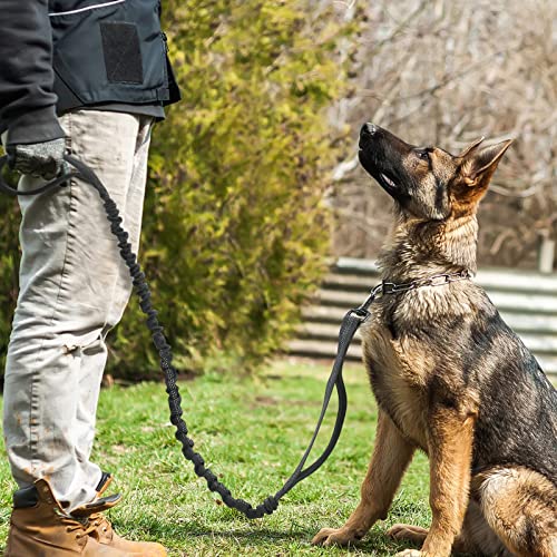 rabbitgoo Starke Bungee Hundeleine mit 2 Gepolsterten Griff und Metallhaken, Taktische Sicherheit Hundeführleine für Große/Mittlere Hunde,Elastische Ruckdämpfer Führleine, Schwarz 114-158cm