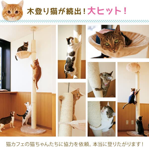 Amazon | おうちで木登りタワー シングル （突っ張り型キャットタワー