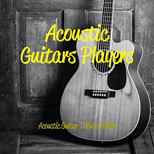 Best Acoustic Guitar Players Of All Time Expert Review The Modern