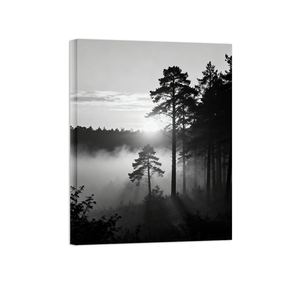 OZPWBVY Black and White Landscape Print Painting-Forest Clouds Sunshine-Minimalist Canvas Wall Art Picture for Home Ready to Hang 24x31in 60x80cm Wrapped Canvas