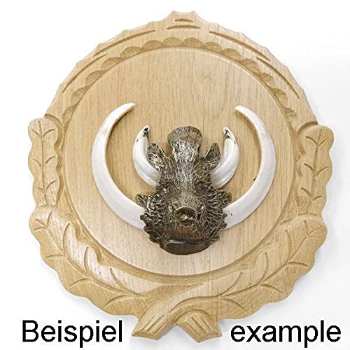 GTK Oferta 5 placas de cuña talladas de roble claro AF 16 cm con 5 cabezas de cuñas, portada grande, tabla de cuñas, cartel para trofeos