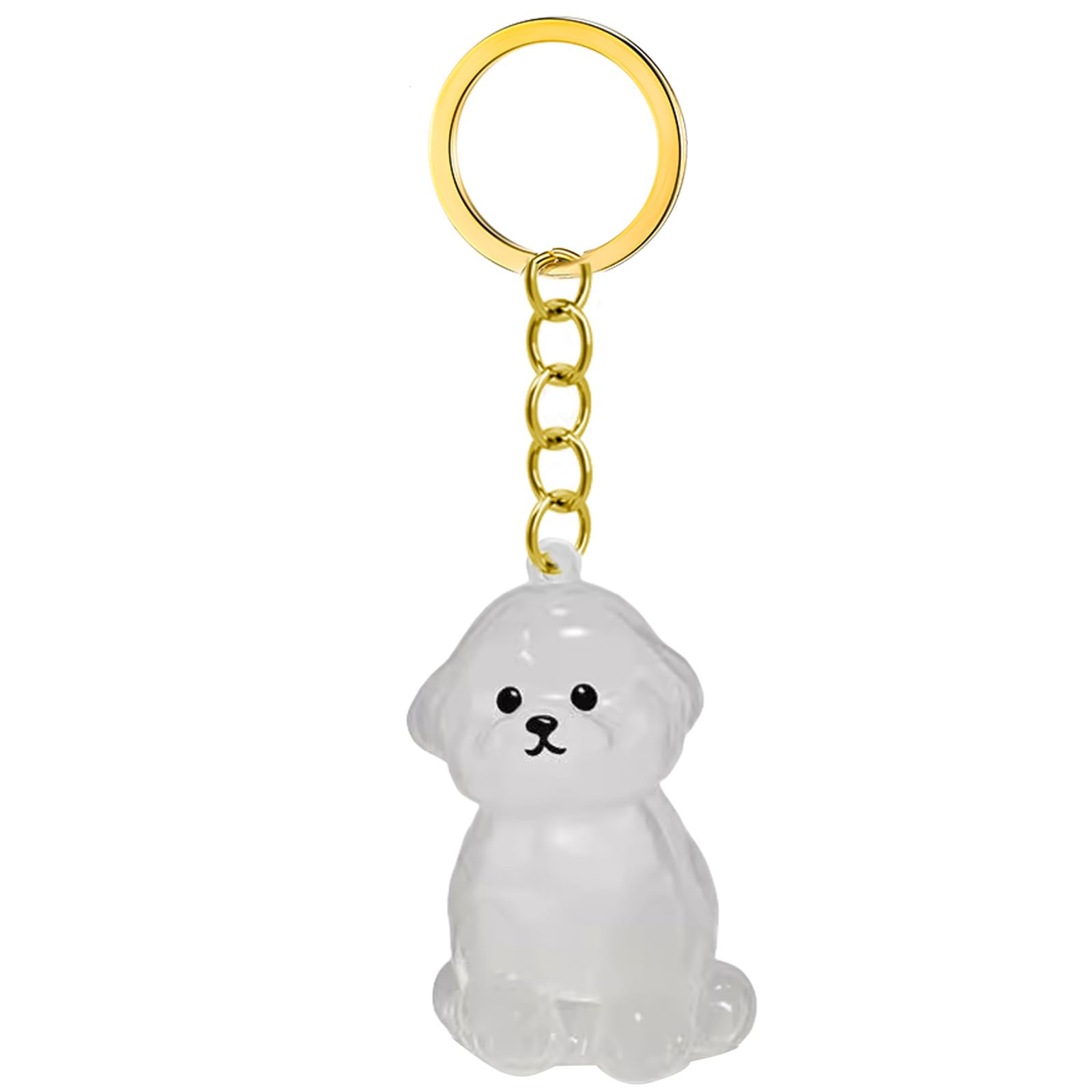 Porte-clé Souvenir Pour Chien – Gardez Un Morceau De Votre Compagnon à Vos Côtés - Accessoires Animaux