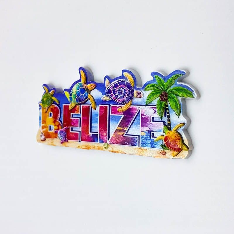 Imán Decorativo de Resina 3D Tortuga Marina 10cm x 5cm miniatura 5