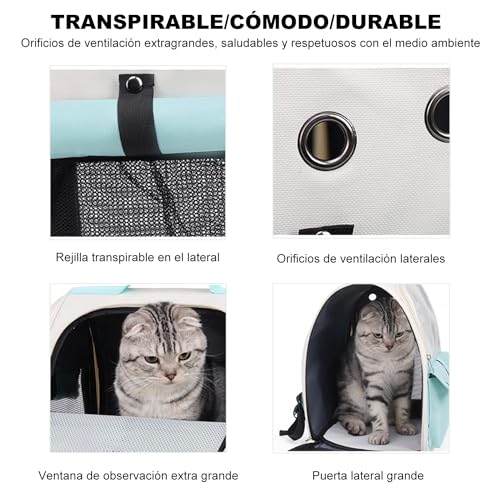 El mejor review de Transportadora para gatos soriana comprados en linea. 14 Imagen adicional
