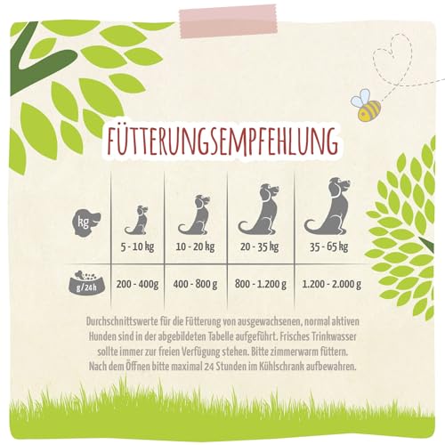 MjAMjAM – Premium Nassfutter für Hunde - natürlich lecker – Bio Schwein an Kürbis,6er Pack (6 x 800g), getreidefrei mit extra viel Fleisch