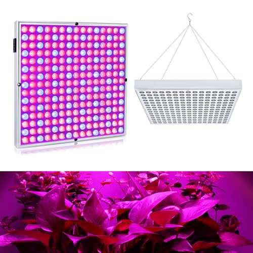 Luce per piante a LED di prima classe: con una dimensione totale di 310 x 310 x 35 mm e una combinazione intelligente di 225 lampadine a LED, tra cui 165 perline rosse e 60 blu, questa luce soddisfa tutte le esigenze delle tue piante.