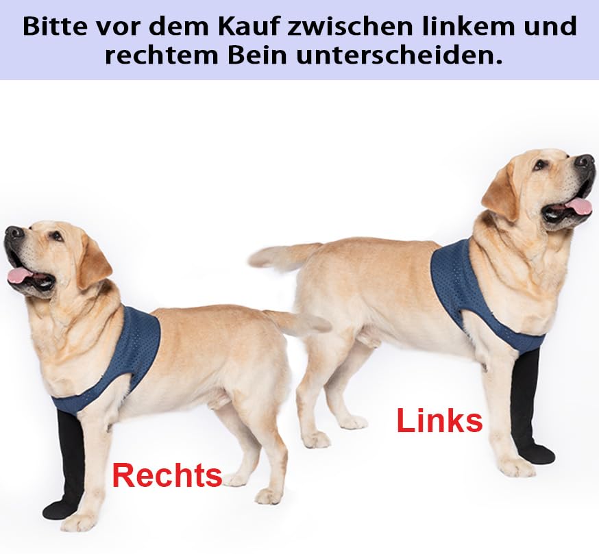 COODEO Hundesocken gegen Pfotenlecken & Schutz bei Verletzungen, mit rutschfesten Sohlen. Wasserdichter Pfotenschutz. (Blau, L_Left)