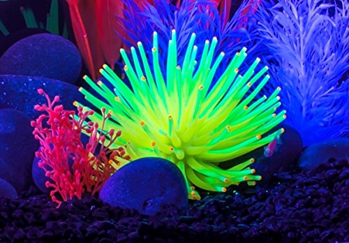 GloFish Anenome Ornaments, Fish Tank Decorations, Aquarium Decorations, Creates a Glowing Effect (Pack of 1) - Image 4