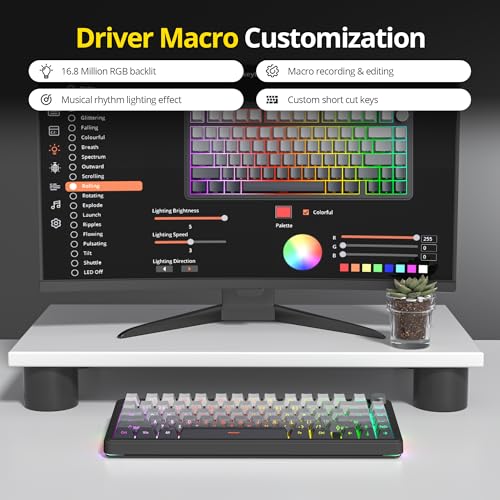 Image of surmen M75 Wireless Mechanical Keyboard 75% Gasket Mounted Gaming Keyboard Pre-lubed Stabilizer with Knob RGB Backlight Hot-Swappable for Mac /Win(MoonNight)