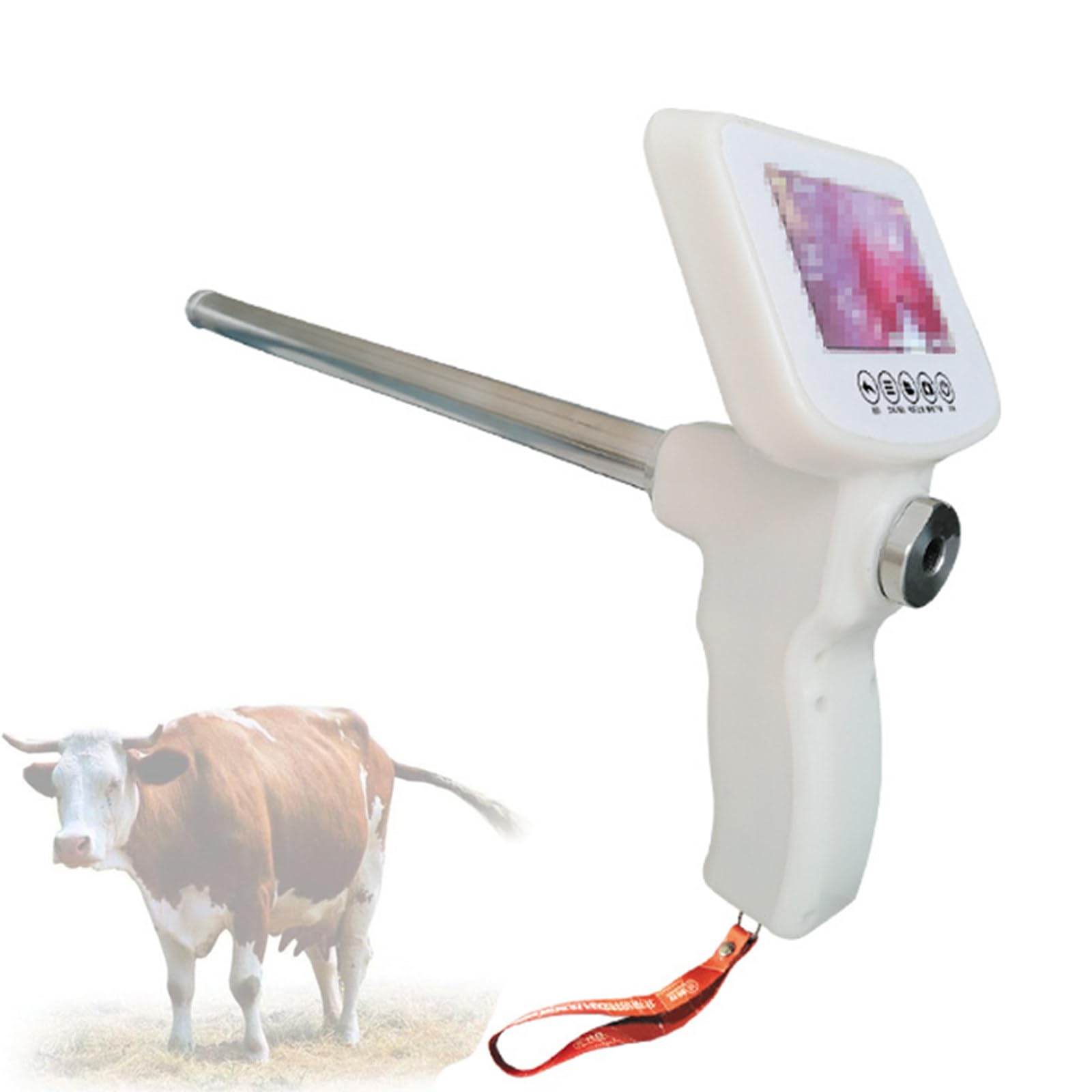 Visual Cattle/Horses/Sheep/Goat Artificial Insemination AI Gun Kit,Cow  Veterinary Breeding Kit,Visual Endoscope Breeding Kit,with 15MP Camera  Adjustable Screen for Farm & Ranch,cow: Amazon.co.uk: Pet Supplies