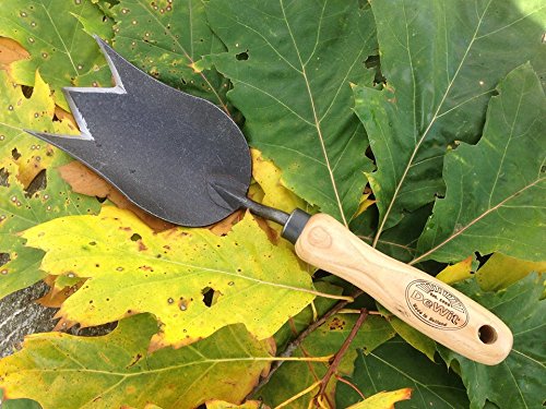 Paleta Tulipán DeWit para Jardinería miniatura 2