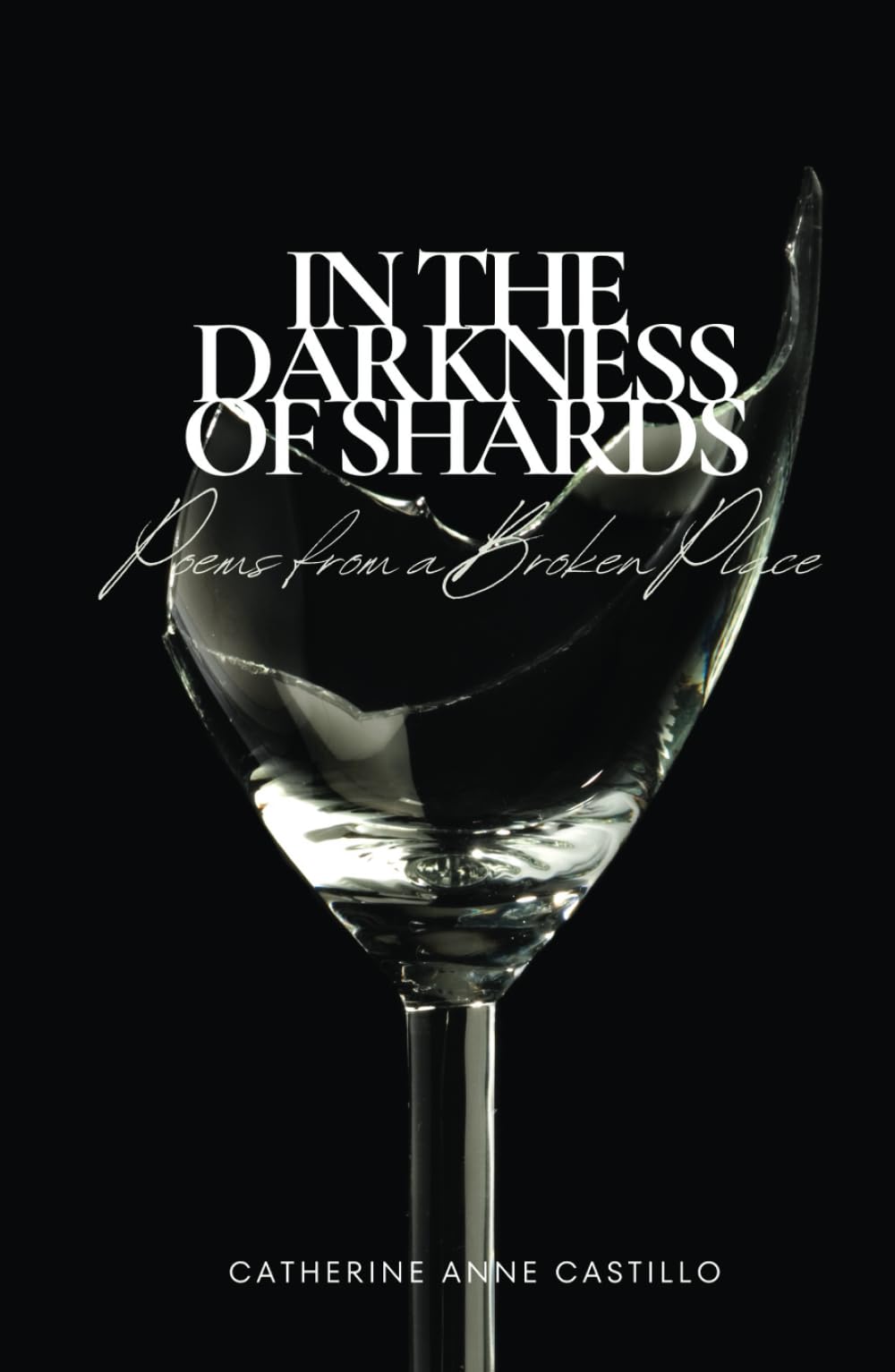 In the Darkness of Shards: Poems from a Broken Place