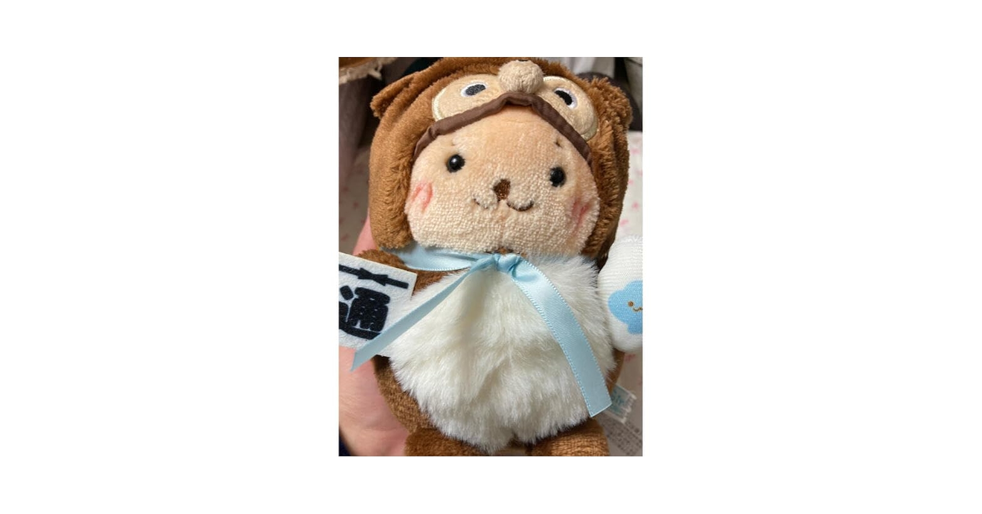 Amazon.co.jp: しろたん くじ たぬきらっこいぬ : おもちゃ
