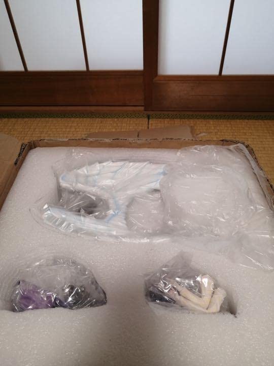 Amazon | ワンピース フィギュア ラフィット ガレージキット 黒ひげ