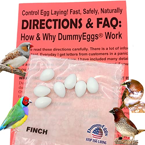 DummyEggsâ USA. Finch Dummy Eggs Stop Laying! 5/8