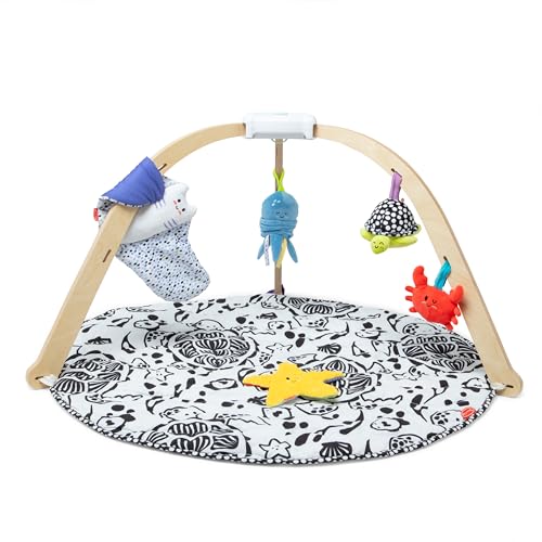 Melissa & Doug Ocean Easy-Fold Wooden Play Gym for Infants, Reversible Mat, 5 Soft Toys, Birth to 9 Months – FSC-Certified