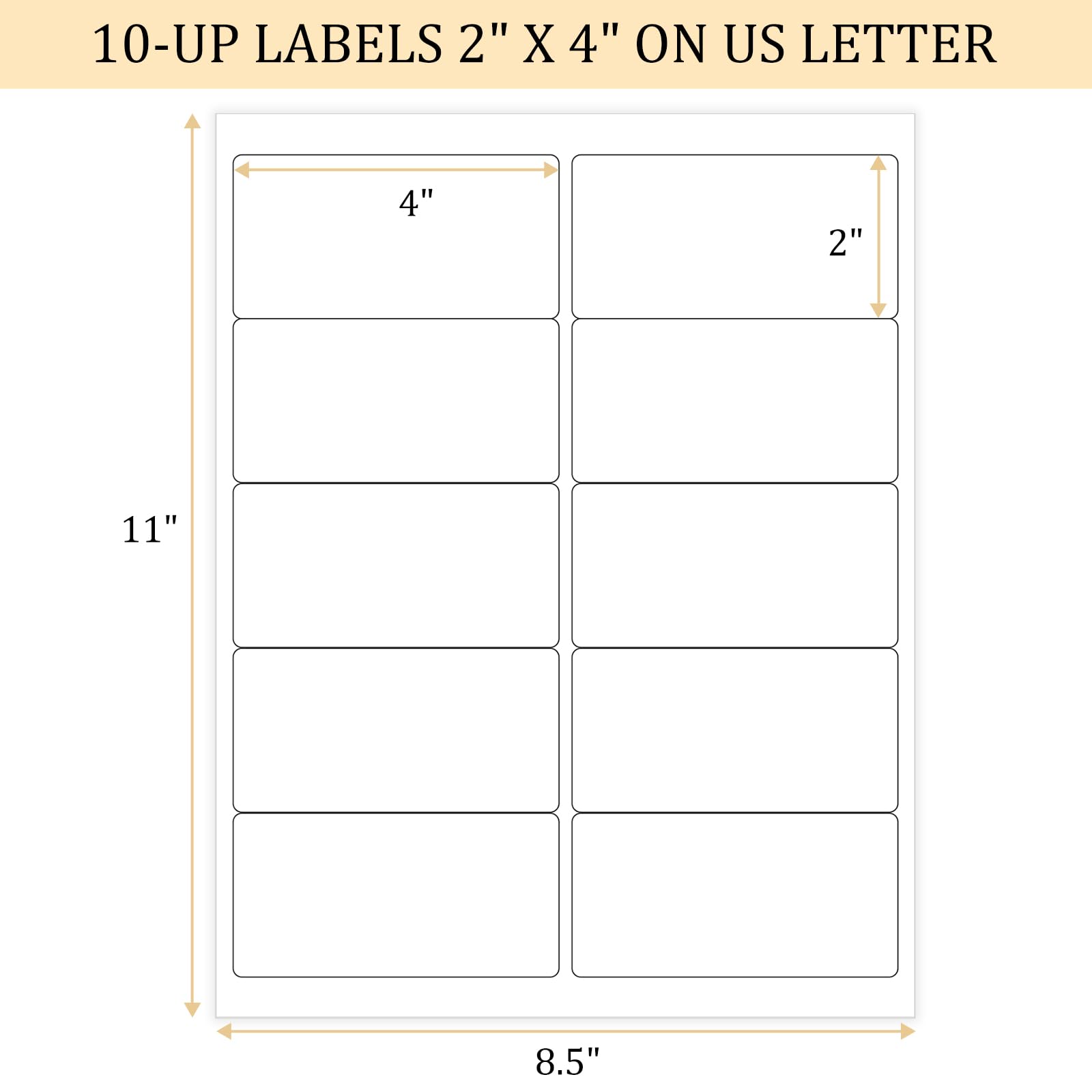 FungLam 2x4 Shipping Address Labels For Laser & Inkjet