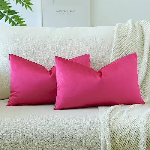 JOTOM Lot de 2 Housses de Coussins en Velours Décoratif Canapé Taie d'oreiller Doux Decoration pour Maison Salon Chambre Canapé Décoration 30x50cm (Rose...