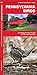 Produktbild Pennsylvania Birds: A Folding Pocket Guide to Familiar Species (Pocket Naturalist Guide Series)