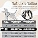 Imagen de rabbitgoo Arnes Perro Mediano con 3 Hebillas