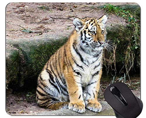 Mousepad Grande de Tigre Blanco, Alfombrillas de ratón de Animales con Bordes cosidos