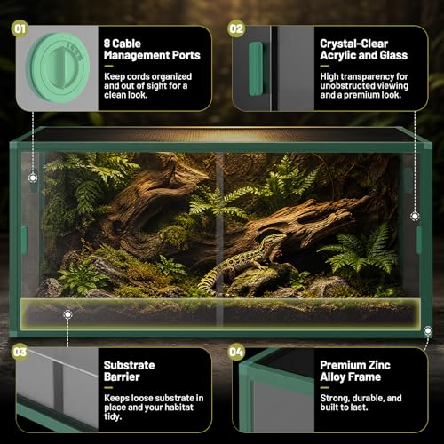 Image of 120 Gallon Reptile Tank, 4x2x2 Reptile Enclosure for Bearded Dragon, Snake, Ball Python & Chameleon, Aluminum Alloy Reptile Terrariums Cage with Front Sliding Tempered Glass Doors (Green)
