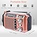 Hand Crank Emergency Weather Radio with 2600mAh/9620mWh Power Bank, NOAA AM FM Shortwave Portable Radio, Solar & USB-C Charging, Flashlight, SOS Alarm for Emergency Kits (Brown)