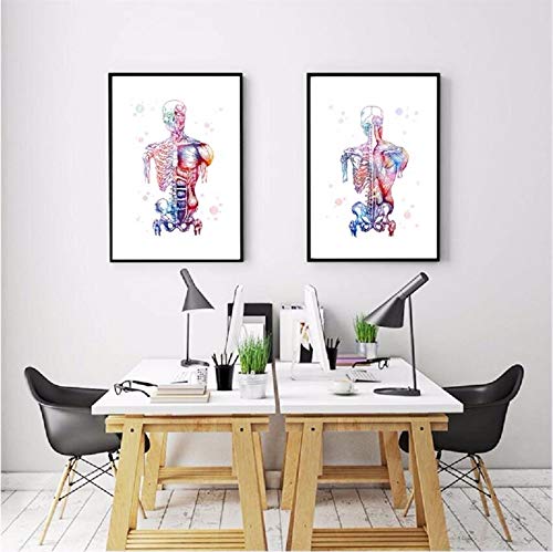Chaoaihekele Muscles Humains Toile Art Print Et Affiche Aquarelle Système Musculaire Squelette Anatomie Body Art Médical Print Décoration Mur 60X80Cmx2 No Frame Cover
