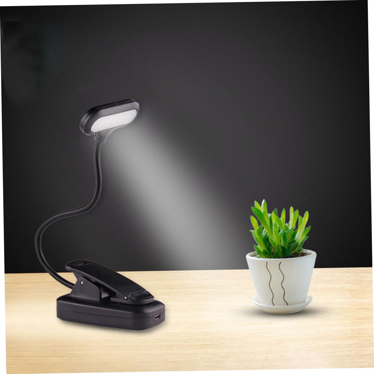 DIYEAH USB Rechargeable Reading Lamp with Clip Adjustable Gooseneck LED Book Light Portable and Lightweight for Reading Bed Camping and Travel