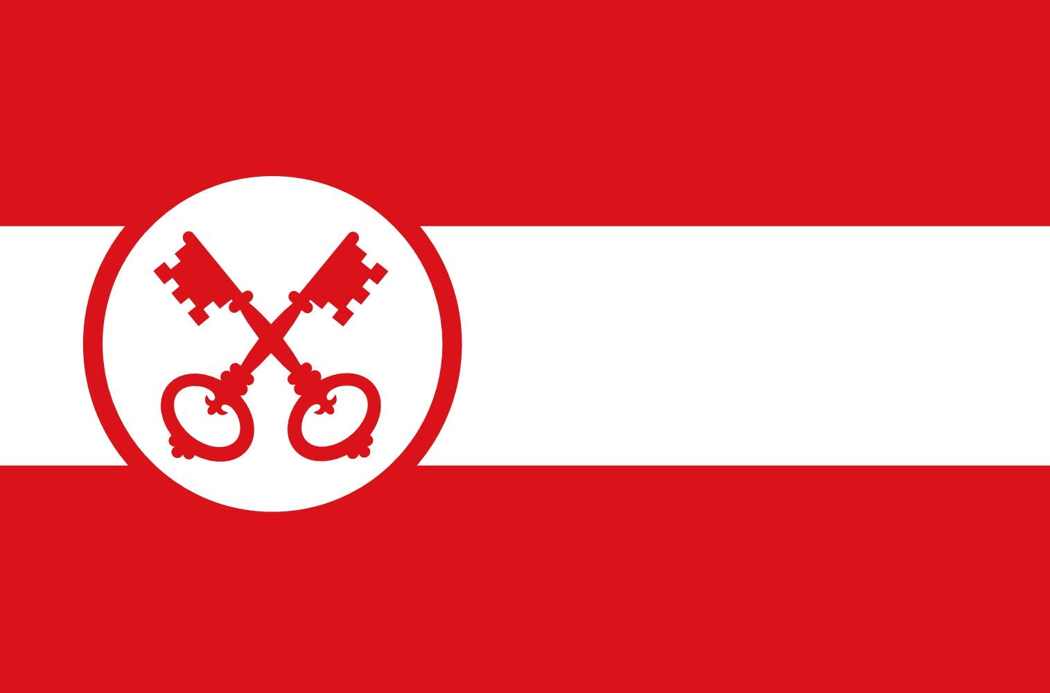 Drapeau de Leiden grand modèle paysage 1.35m² résistant au vent fort