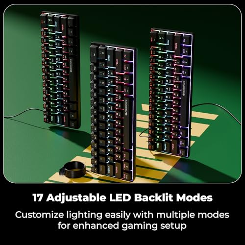 Image of Zebronics Mechanical Keyboard, Silent Linear Red Switches, 61 Keys Layout, 26 Key Anti Ghosting, Double Shot Keycaps, 17 LED Modes, Media Controls, 1.5m Cable (Max Ninja 61, Black)