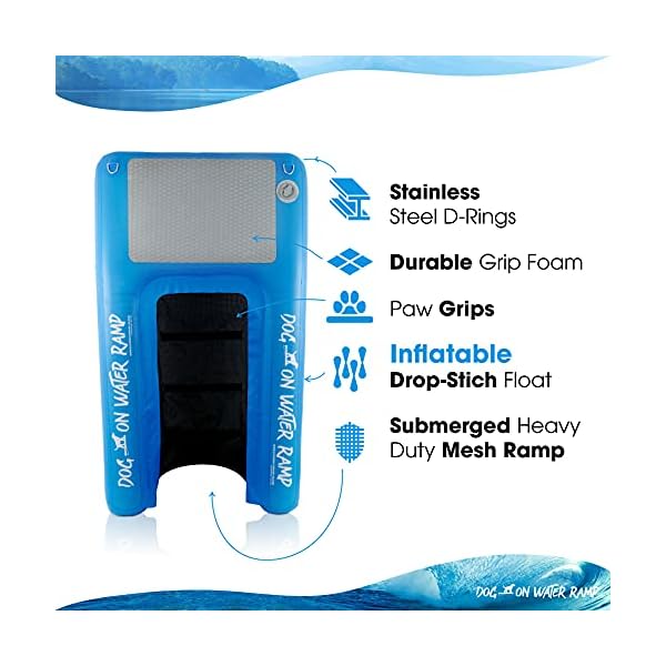 Dog on Water Ramp for Boat, Dock, or Pool