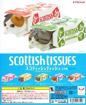 Amazon.co.jp: スコティッシュティッシュ ［5.三毛
