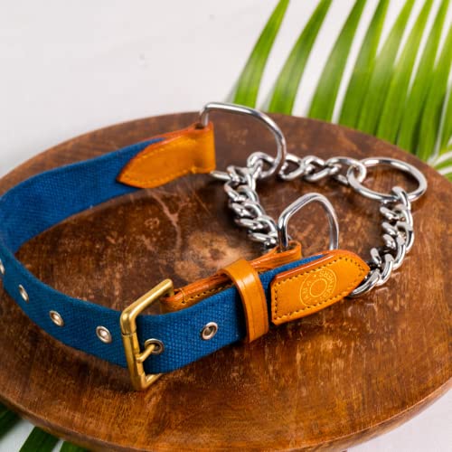 Vama Leathers Martingale Collar with Chain-Blue/Medium (B096N42ZP6) Amazon Price History, Amazon Price Tracker