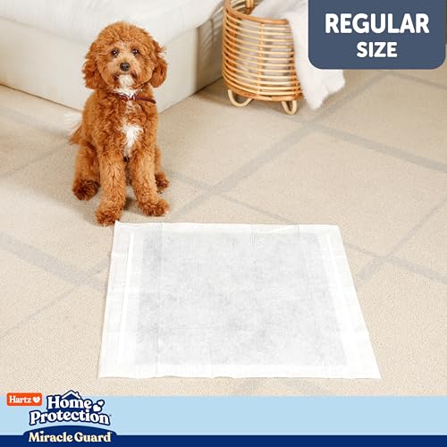 Image of Hartz Miracle Guard Dog and Puppy Dog Pads Max Absorbency 24 Hour Use Odor Eliminating No Leaks, Regular Size 50 Count (Pack of 3)