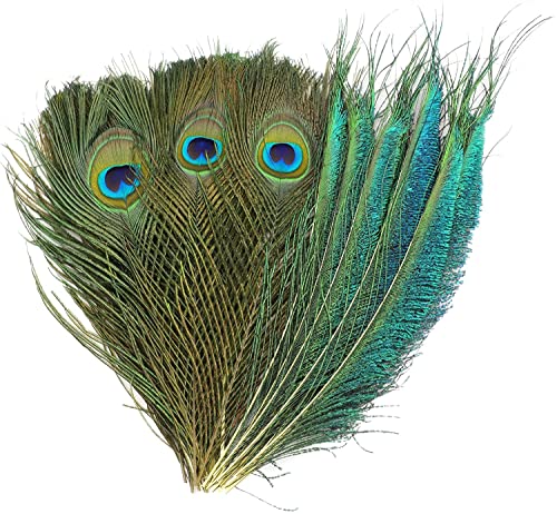 MWOOT 40 plumas decorativas de pavo real, plumas de cola de pavo real naturales para manualidades, adornos de 20 25 cm, plumas para ceremonias, fiestas de temporada, accesorios de decoración