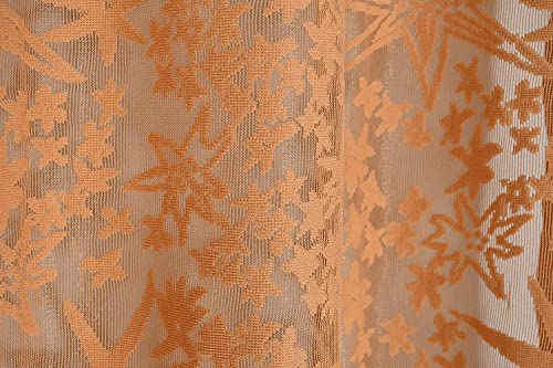 Image of Aroma Brand Tissue Transparent Fancy Sheer Polyester Curtains for Door- Pack of 1 (Door - 7 Feet, Coffee - Star)