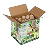 Dehner Natura Wildbird voer, grote mezenbollen zonder net, 100 stuks per 100 gram (10 kg)