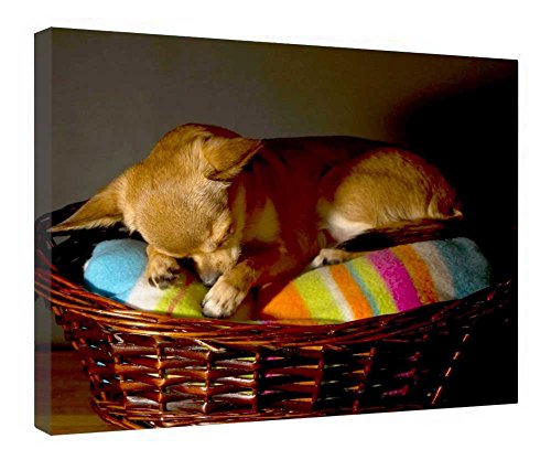 Cuadro de lienzo decorativo para pared con marco moderno de 40.8 x 50.8 cm